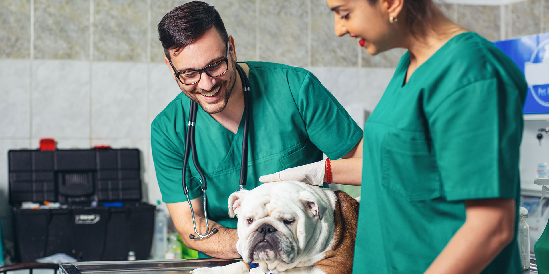 Cheyenne Veterinary Wellness & Surgical Center | Pittsburgh, PA Vets